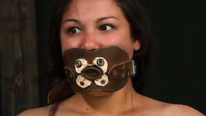 Curvaceous brunette hottie gets her snatch squeezed between leather belts